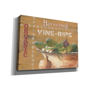 'Vine Ripe' by Pam Britton, Canvas Wall Art