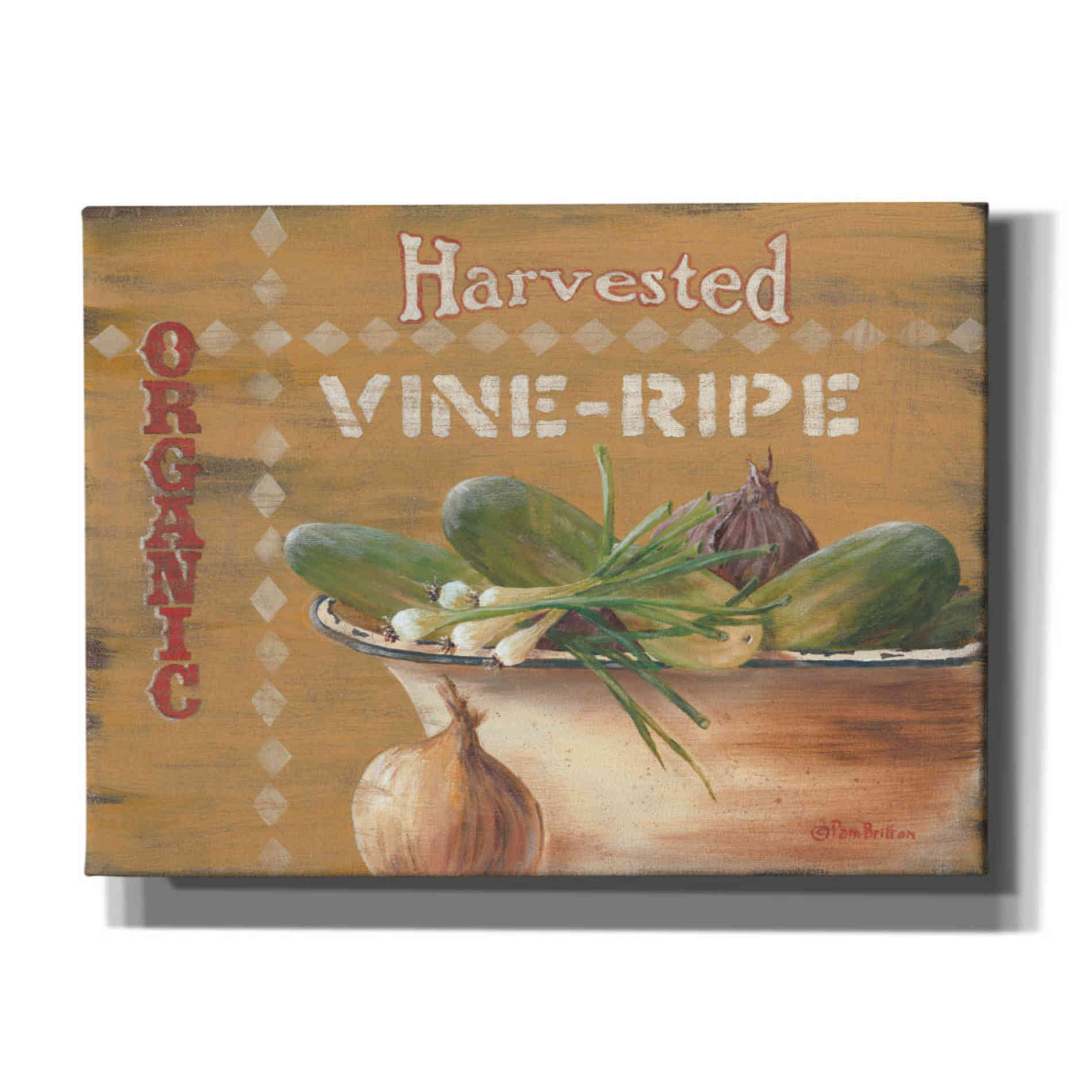 'Vine Ripe' by Pam Britton, Canvas Wall Art
