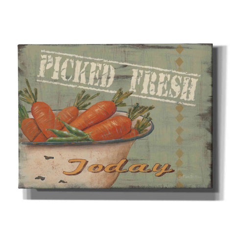 Image of 'Picked Fresh' by Pam Britton, Canvas Wall Art
