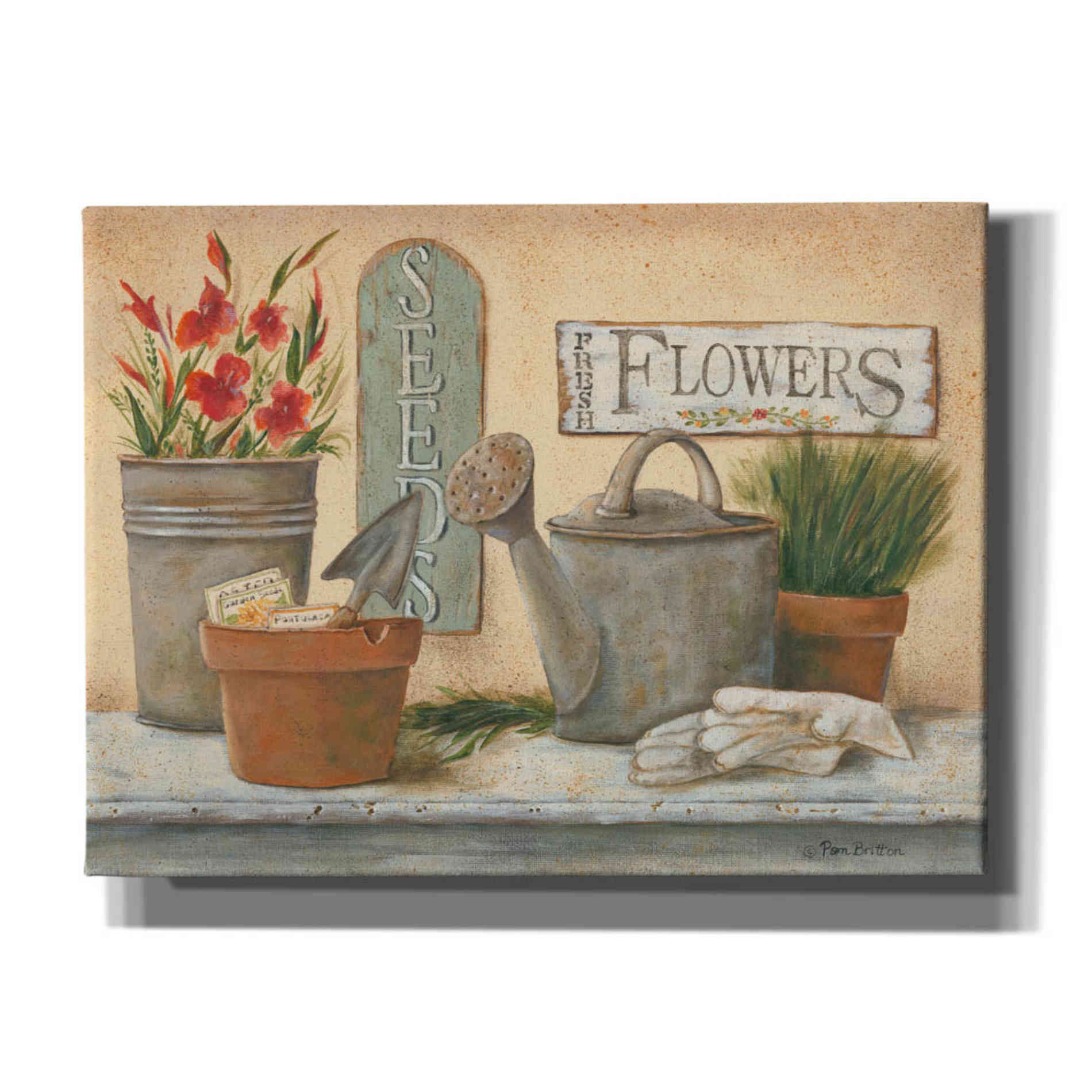 'Garden Shelf I' by Pam Britton, Canvas Wall Art