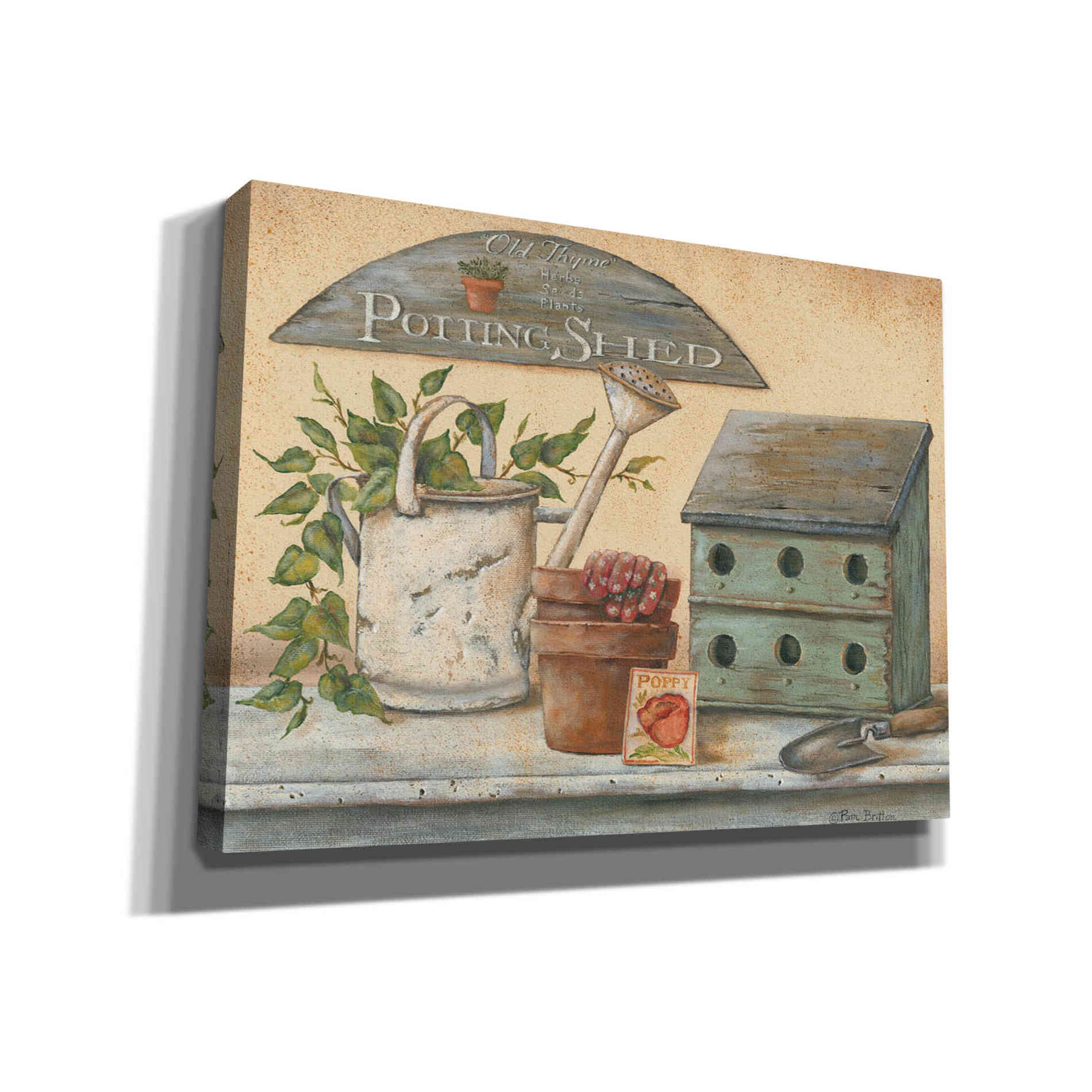 'Garden Shelf IV' by Pam Britton, Canvas Wall Art