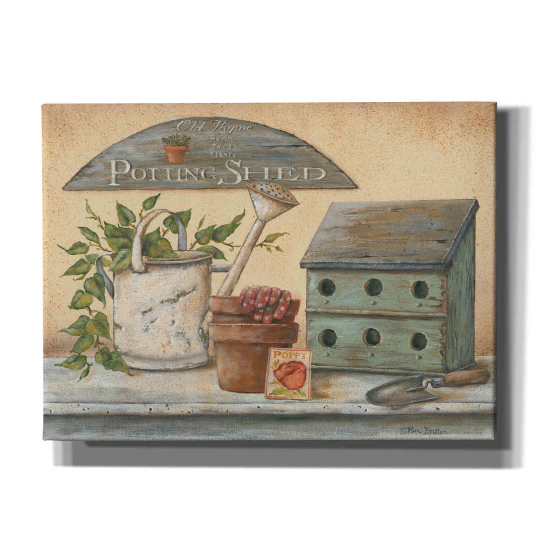 'Garden Shelf IV' by Pam Britton, Canvas Wall Art