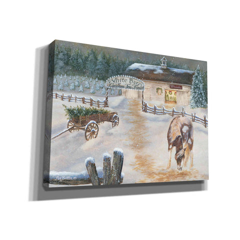 Image of 'White Barn Tree Farm' by Pam Britton, Canvas Wall Art