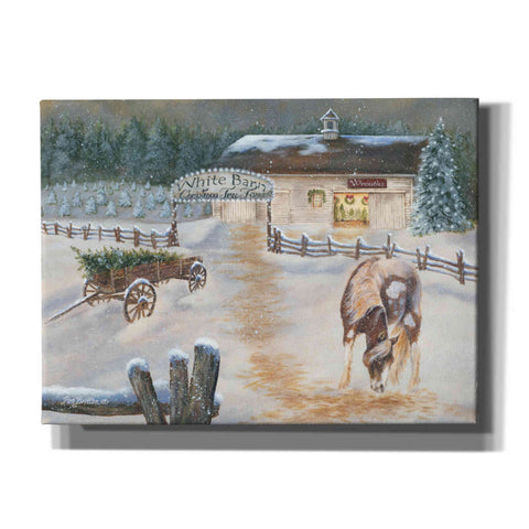 Image of 'White Barn Tree Farm' by Pam Britton, Canvas Wall Art