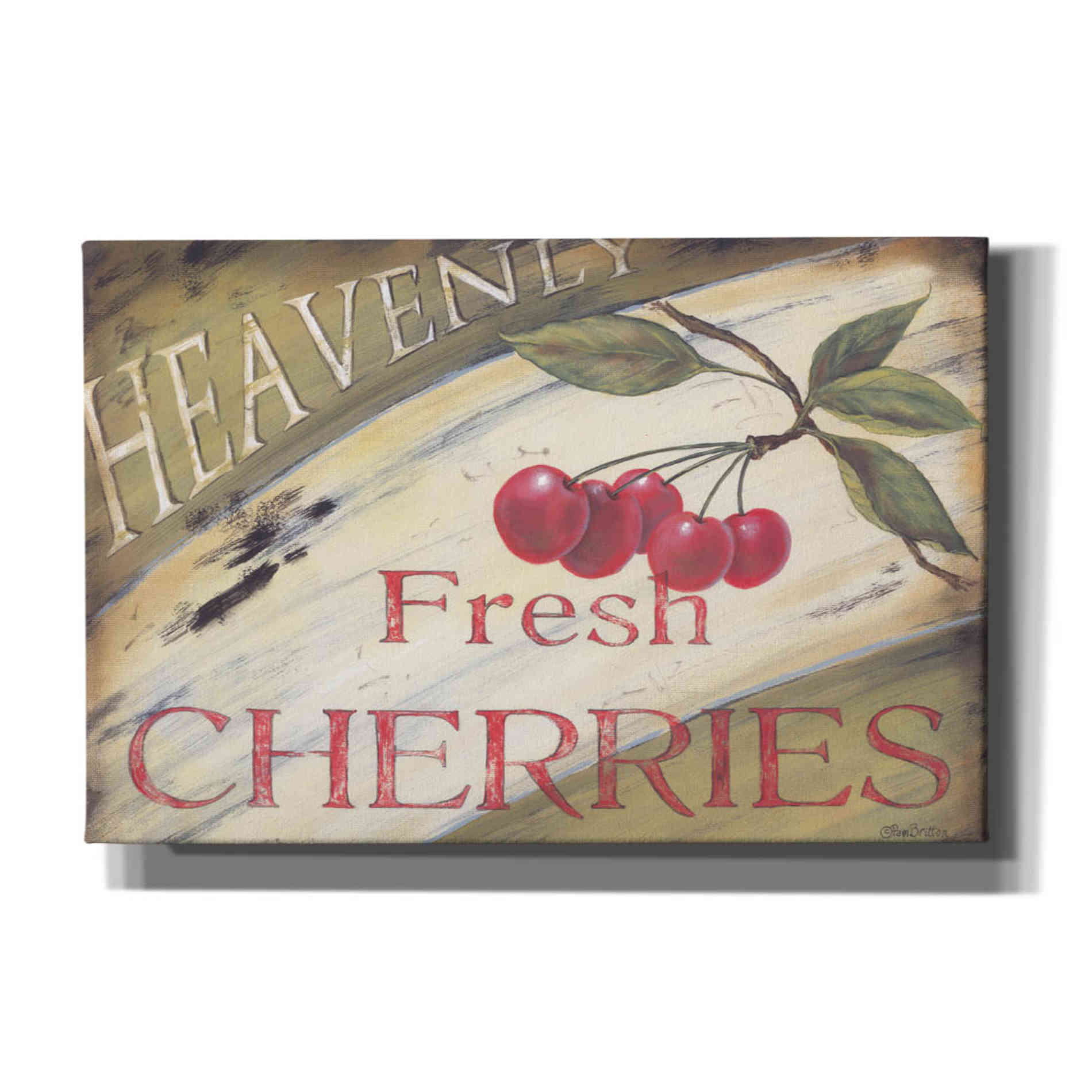 'Heavenly Cherries' by Pam Britton, Canvas Wall Art