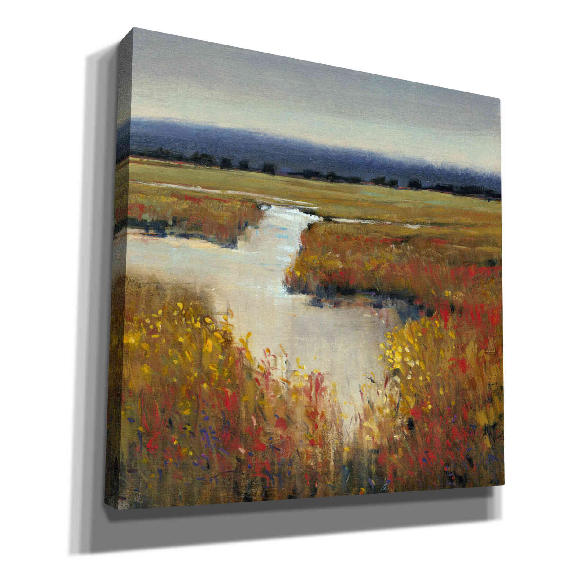 'Marsh Land I' by Tim O'Toole, Canvas Wall Art
