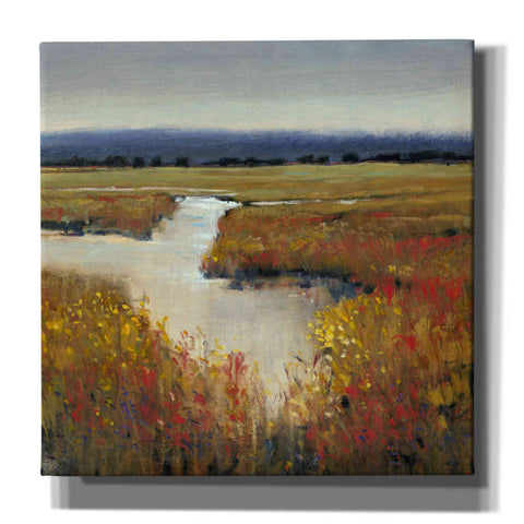 Image of 'Marsh Land I' by Tim O'Toole, Canvas Wall Art