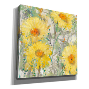 'Yellow Bunch II' by Tim O'Toole, Canvas Wall Art