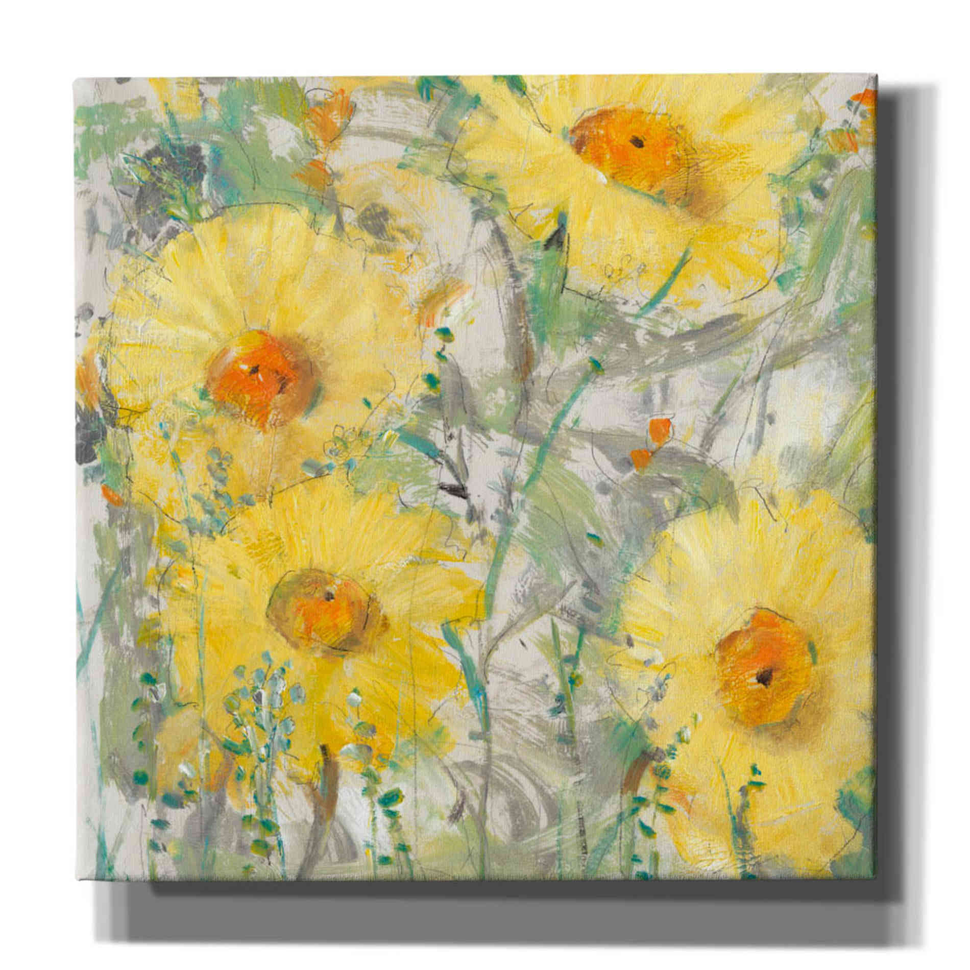 'Yellow Bunch II' by Tim O'Toole, Canvas Wall Art