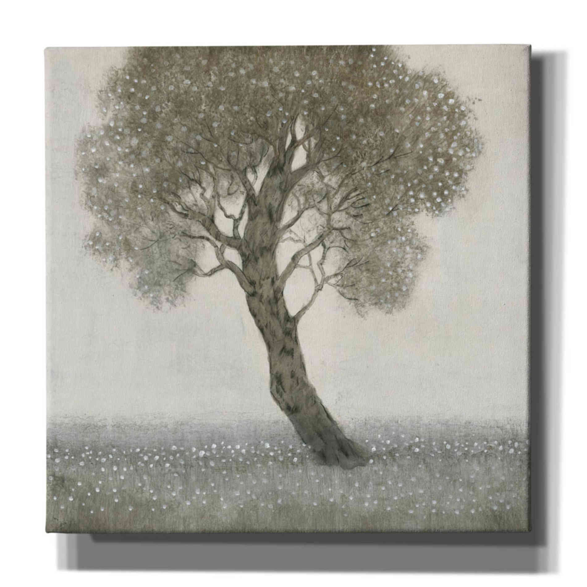 'White Blossom Tree' by Tim O'Toole, Canvas Wall Art