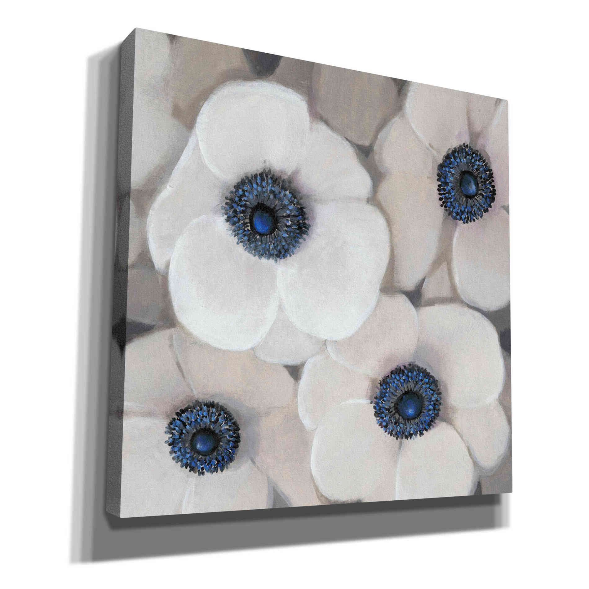 'White Anemone II' by Tim O'Toole, Canvas Wall Art
