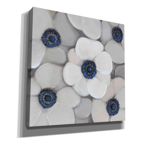 Image of 'White Anemone I' by Tim O'Toole, Canvas Wall Art