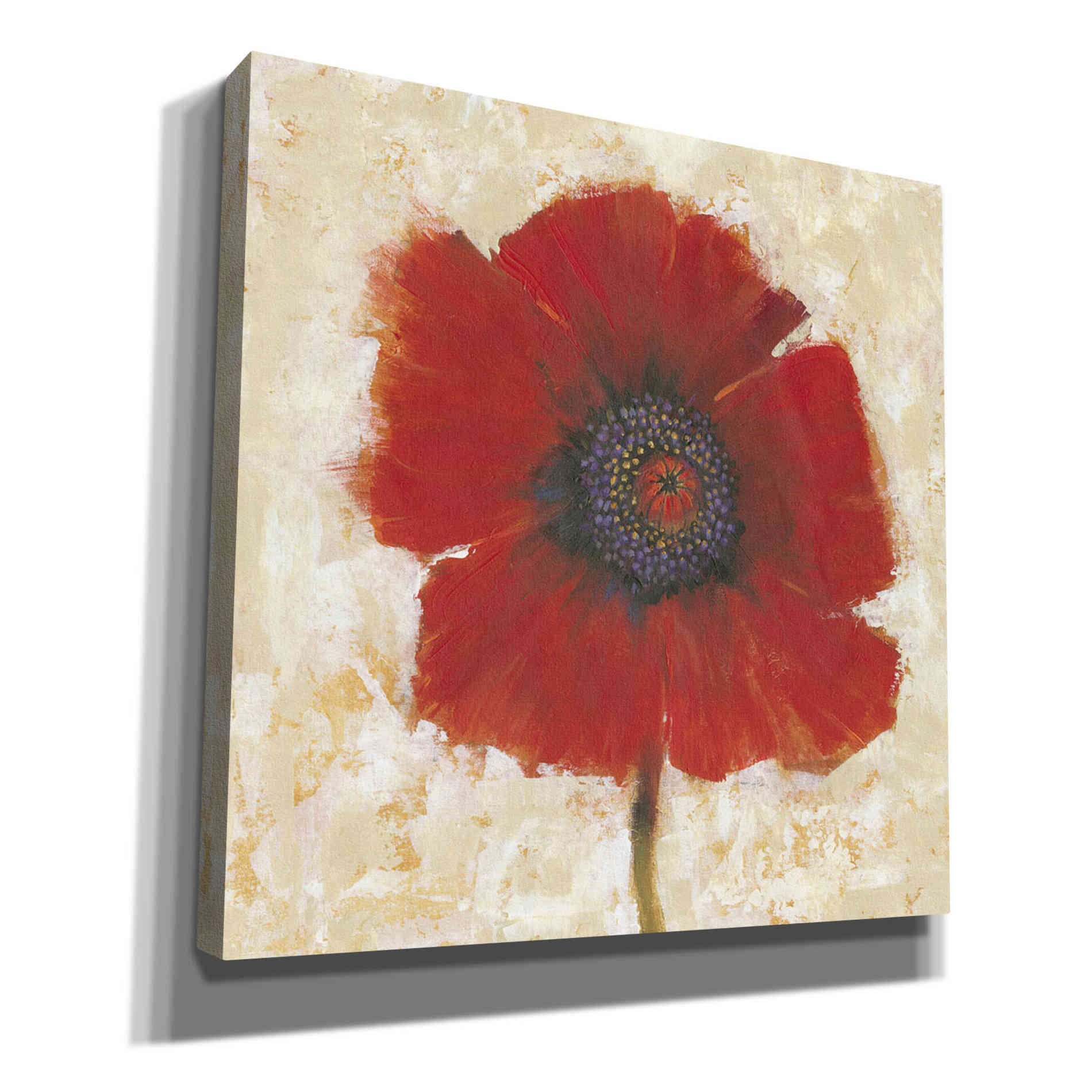 'Red Poppy Portrait II' by Tim O'Toole, Canvas Wall Art