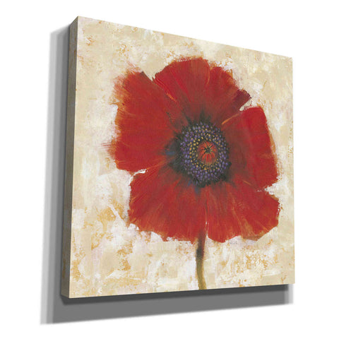 Image of 'Red Poppy Portrait II' by Tim O'Toole, Canvas Wall Art