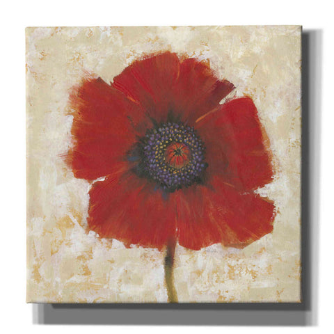 Image of 'Red Poppy Portrait II' by Tim O'Toole, Canvas Wall Art