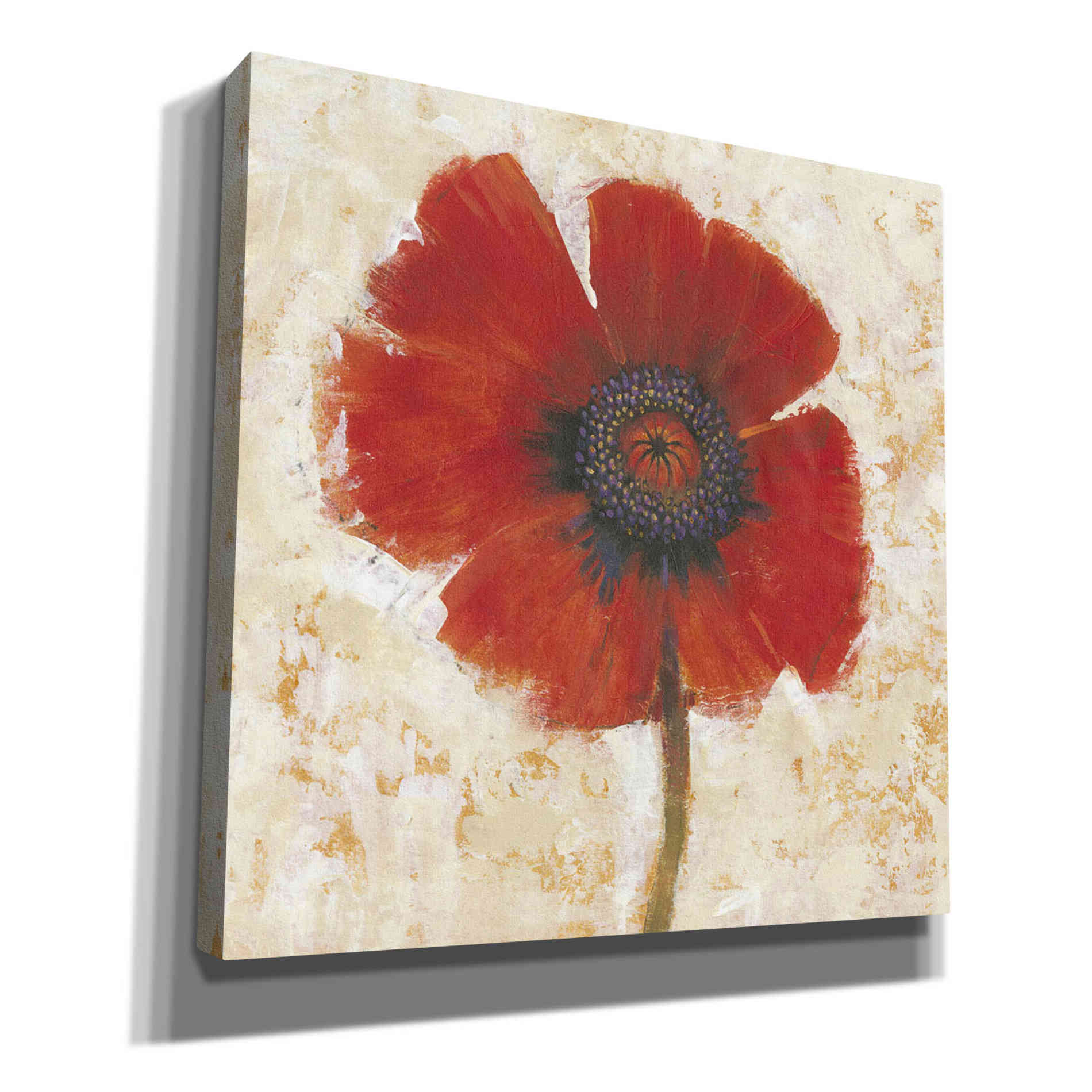 'Red Poppy Portrait I' by Tim O'Toole, Canvas Wall Art