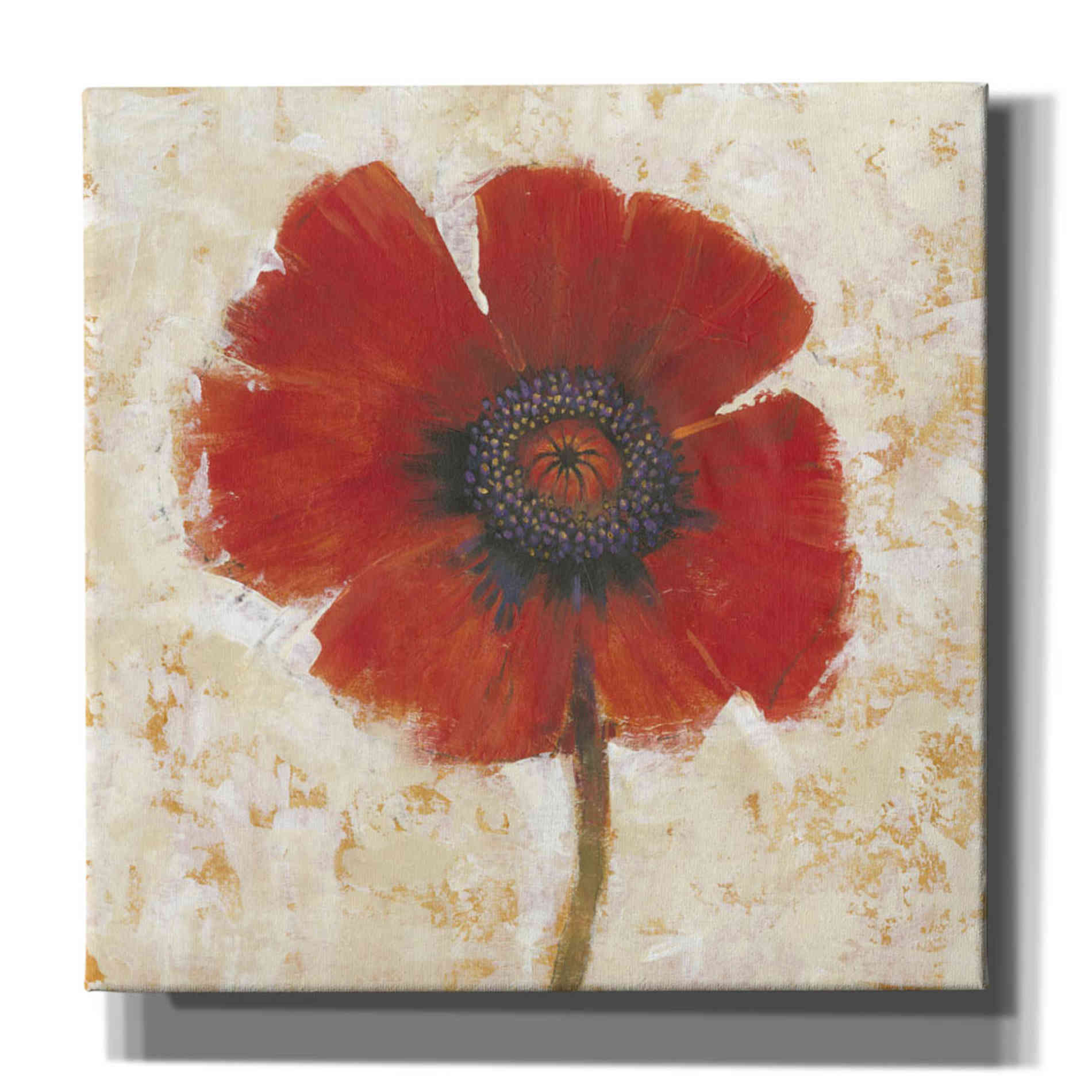 'Red Poppy Portrait I' by Tim O'Toole, Canvas Wall Art