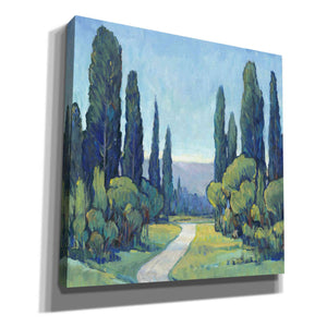 'Cypress Path I' by Tim O'Toole, Canvas Wall Art