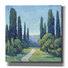 'Cypress Path I' by Tim O'Toole, Canvas Wall Art