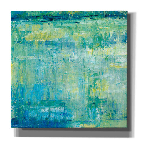 Image of 'Water Reflection I' by Tim O'Toole, Canvas Wall Art