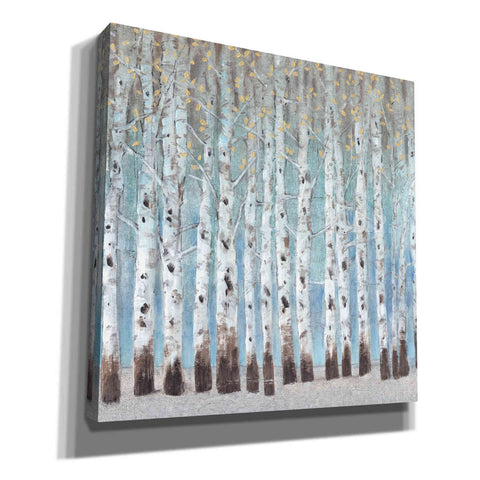 Image of 'Into the Forest II' by Tim O'Toole, Canvas Wall Art