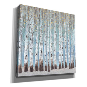 'Into the Forest II' by Tim O'Toole, Canvas Wall Art