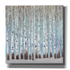 'Into the Forest II' by Tim O'Toole, Canvas Wall Art