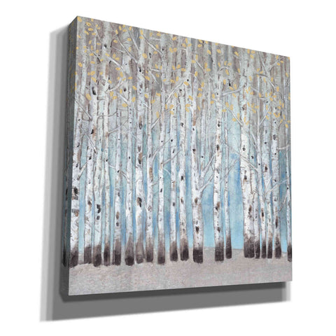 Image of 'Into the Forest I' by Tim O'Toole, Canvas Wall Art