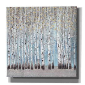 'Into the Forest I' by Tim O'Toole, Canvas Wall Art