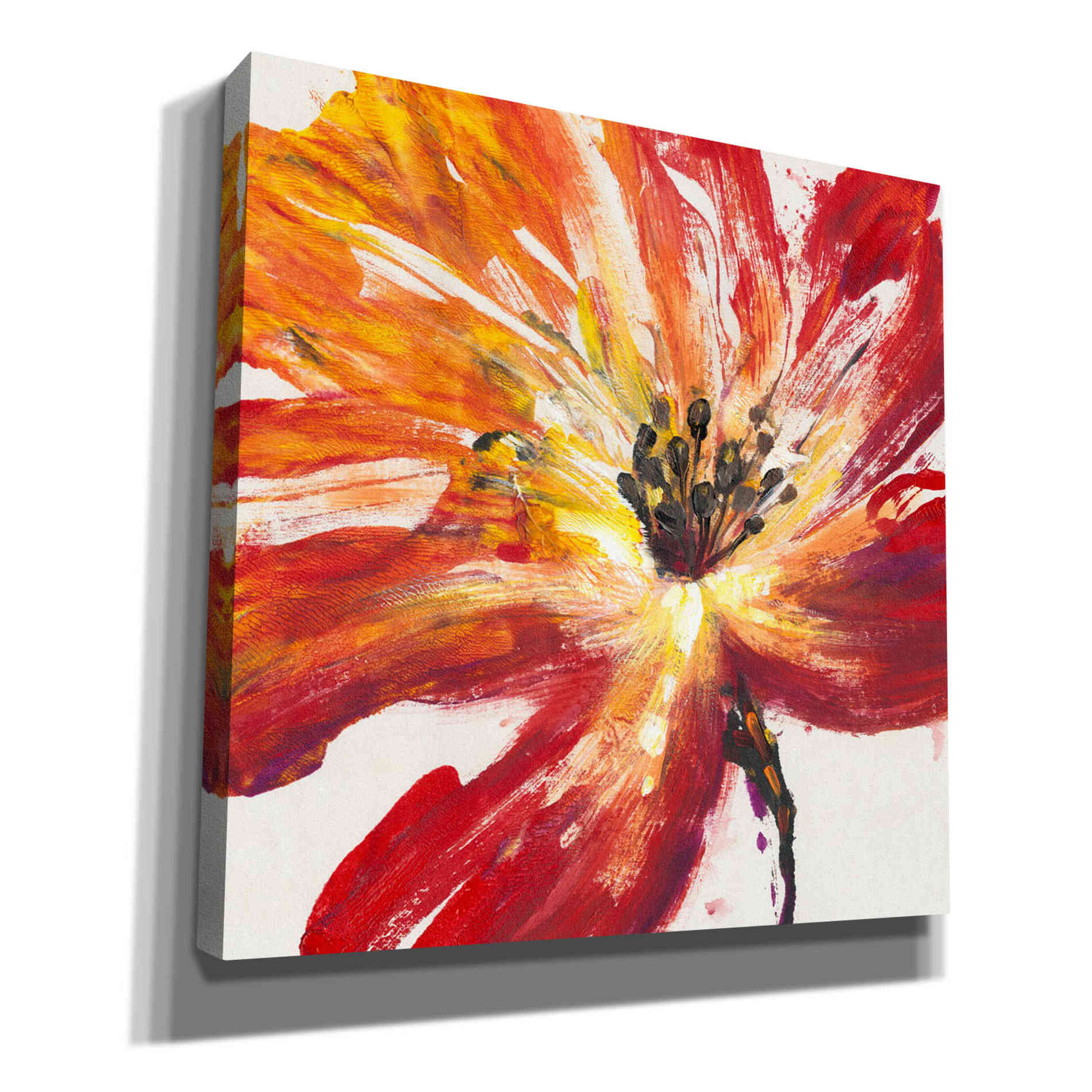 'Fleur Rouge II' by Tim O'Toole, Canvas Wall Art