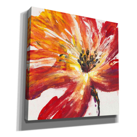 Image of 'Fleur Rouge II' by Tim O'Toole, Canvas Wall Art