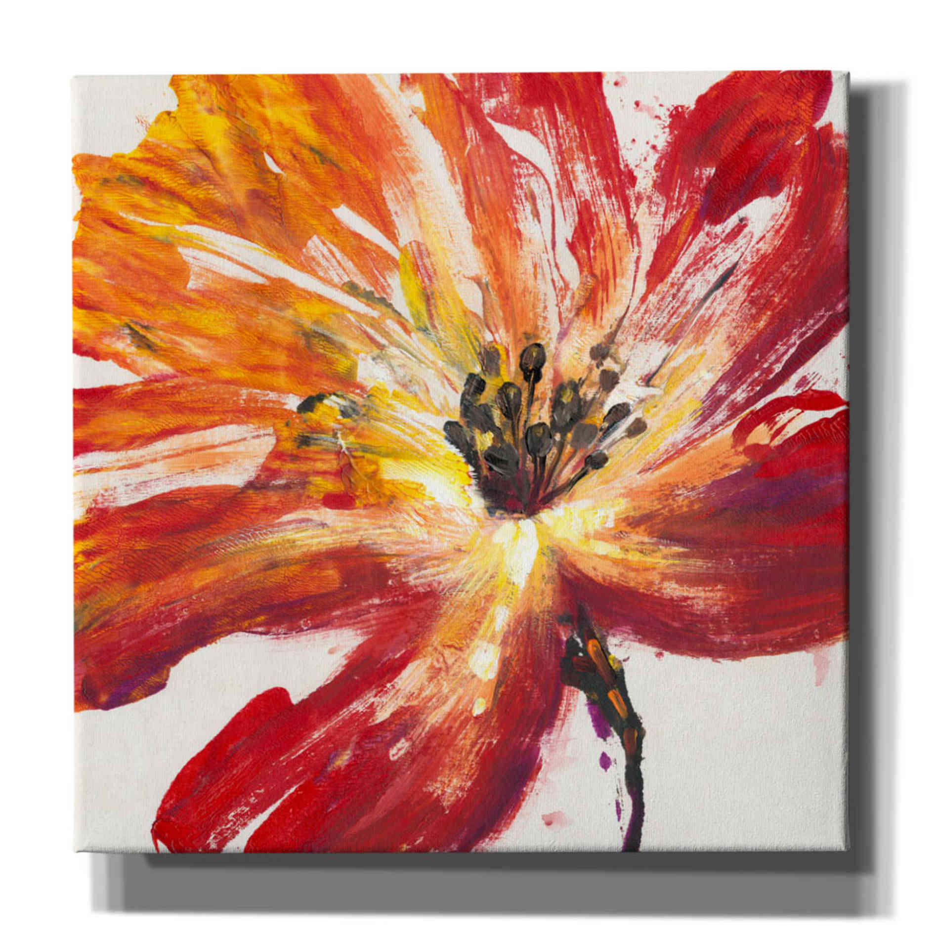 'Fleur Rouge II' by Tim O'Toole, Canvas Wall Art