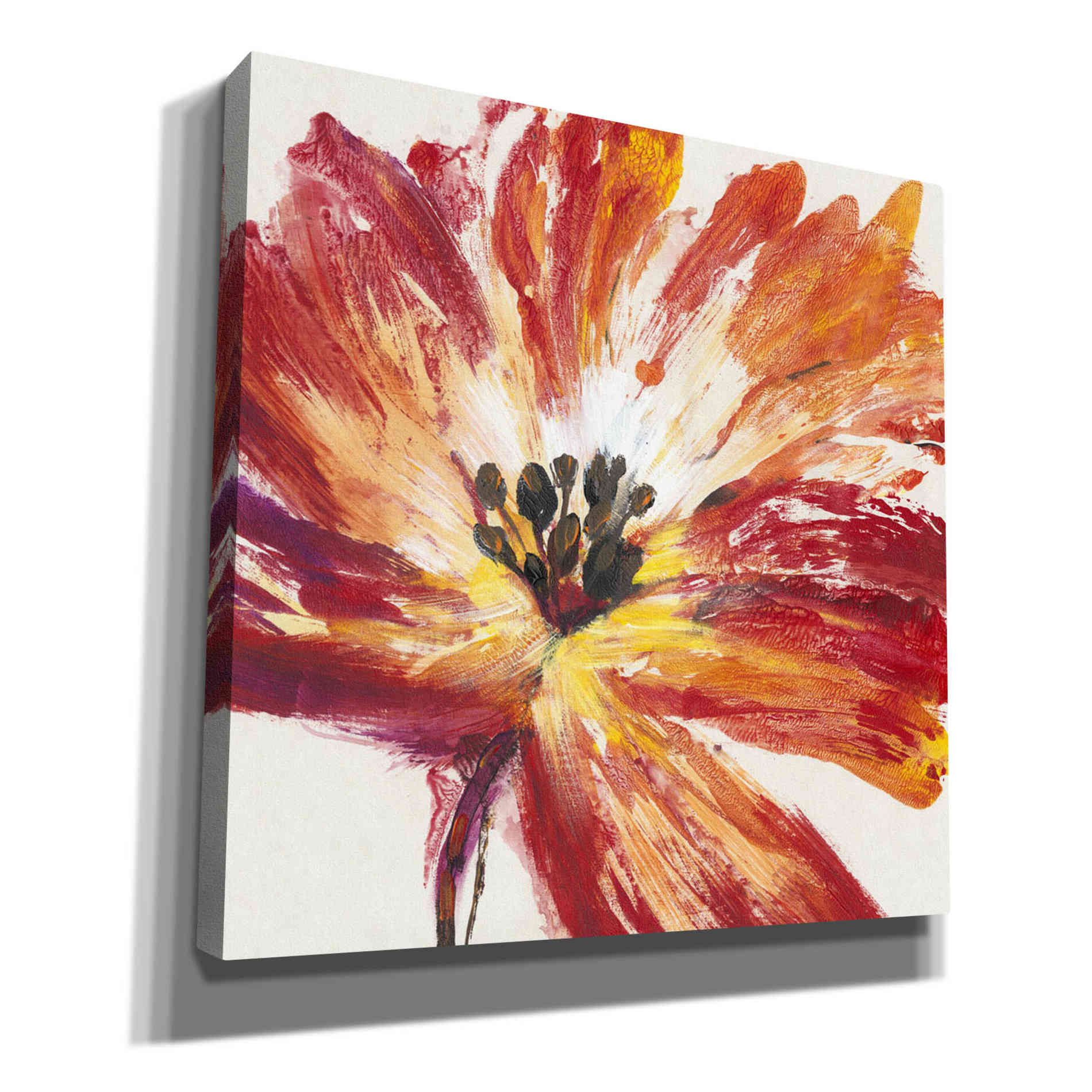 'Fleur Rouge I' by Tim O'Toole, Canvas Wall Art
