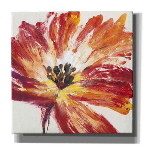 Image of 'Fleur Rouge I' by Tim O'Toole, Canvas Wall Art