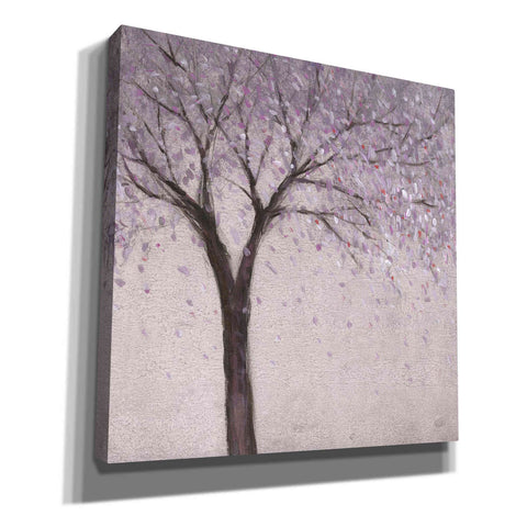 Image of 'Spring Blossom II' by Tim O'Toole, Canvas Wall Art