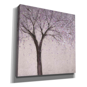 'Spring Blossom II' by Tim O'Toole, Canvas Wall Art
