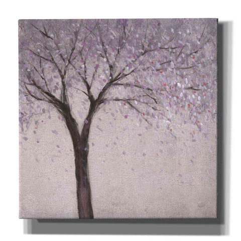 Image of 'Spring Blossom II' by Tim O'Toole, Canvas Wall Art