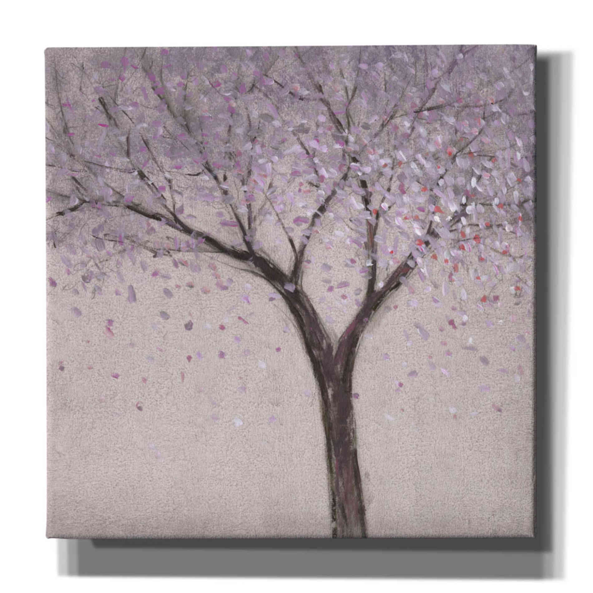 'Spring Blossom I' by Tim O'Toole, Canvas Wall Art
