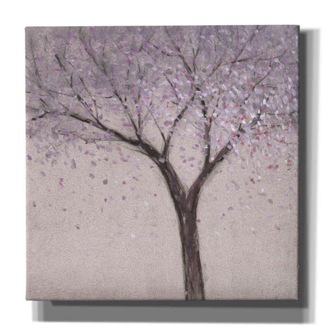 Image of 'Spring Blossom I' by Tim O'Toole, Canvas Wall Art