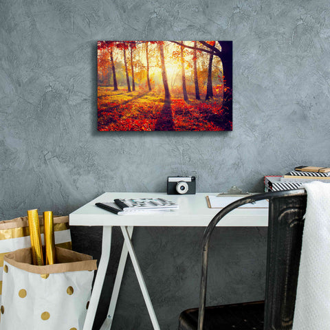 Image of 'Golden Afternoon' Canvas Wall Art,18 x 12