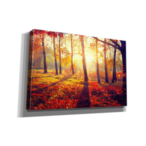 Image of 'Golden Afternoon' Canvas Wall Art