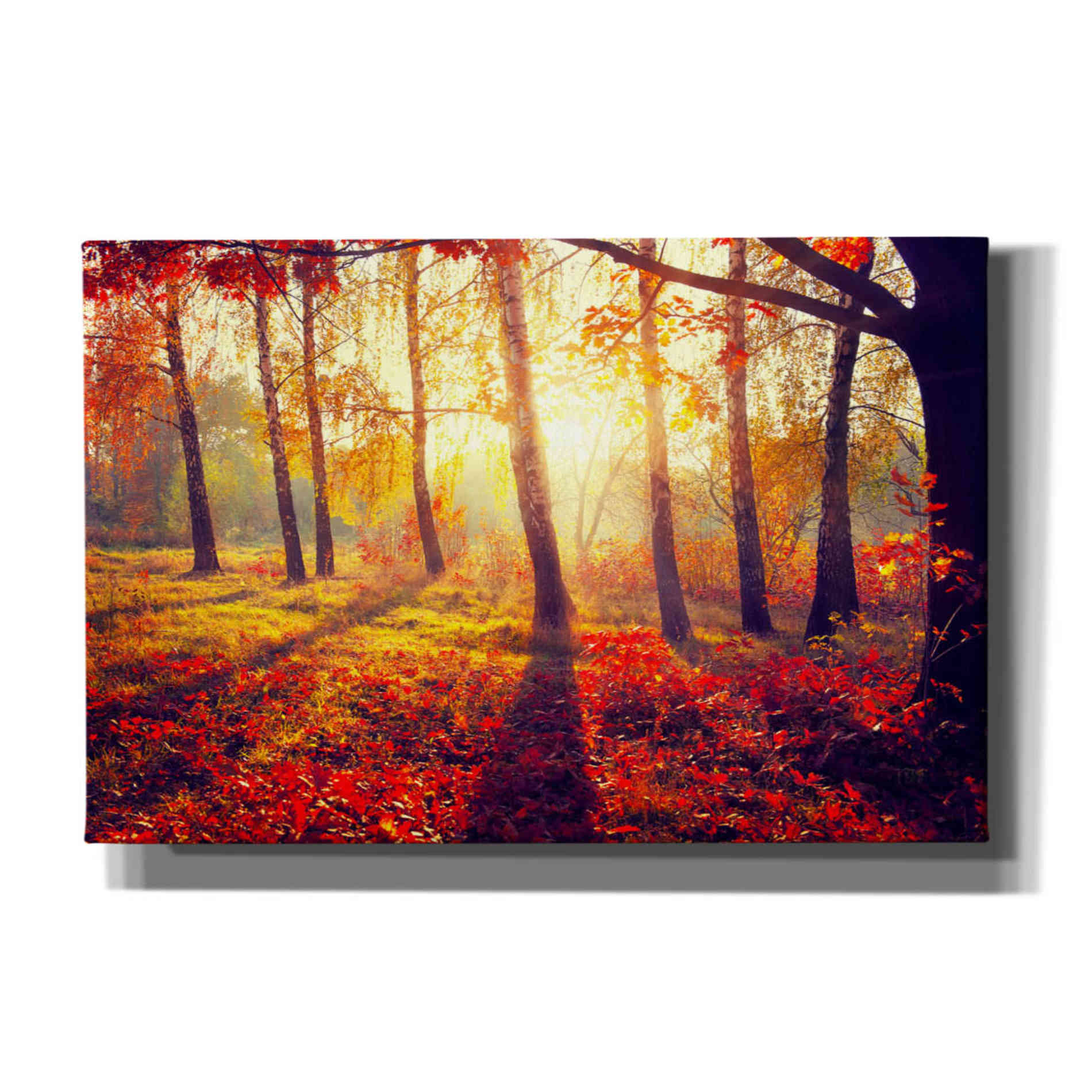 'Golden Afternoon' Canvas Wall Art