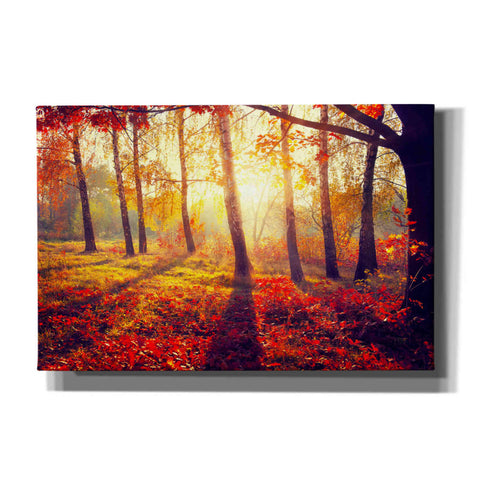 Image of 'Golden Afternoon' Canvas Wall Art