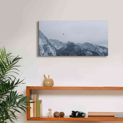 Image of 'Alpine Winter Bird' by Epic Portfolio, Giclee Canvas Wall Art,24x12