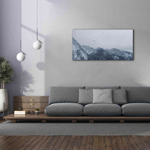 'Alpine Winter Bird' by Epic Portfolio, Giclee Canvas Wall Art,60x30