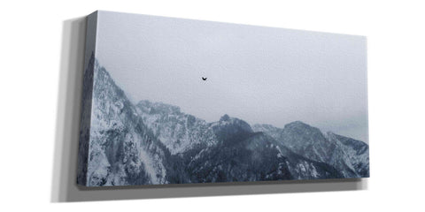 Image of 'Alpine Winter Bird' by Epic Portfolio, Giclee Canvas Wall Art