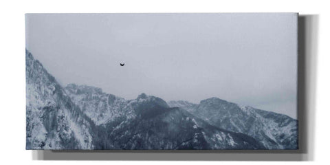 Image of 'Alpine Winter Bird' by Epic Portfolio, Giclee Canvas Wall Art