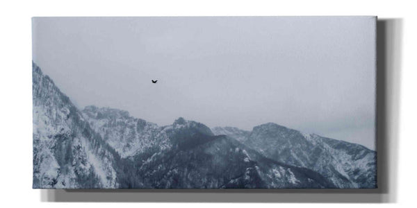 'Alpine Winter Bird' by Epic Portfolio, Giclee Canvas Wall Art