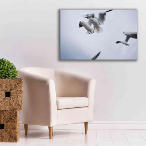 Image of 'Bird Hug' by Epic Portfolio, Giclee Canvas Wall Art,40x26