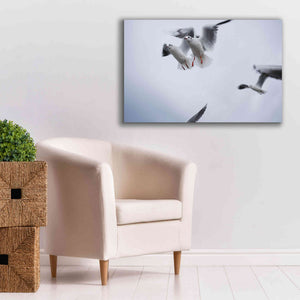 'Bird Hug' by Epic Portfolio, Giclee Canvas Wall Art,40x26